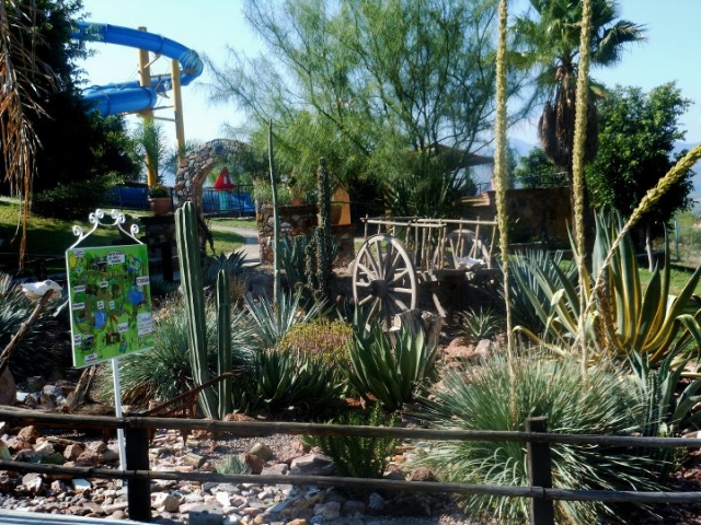 El Oasis